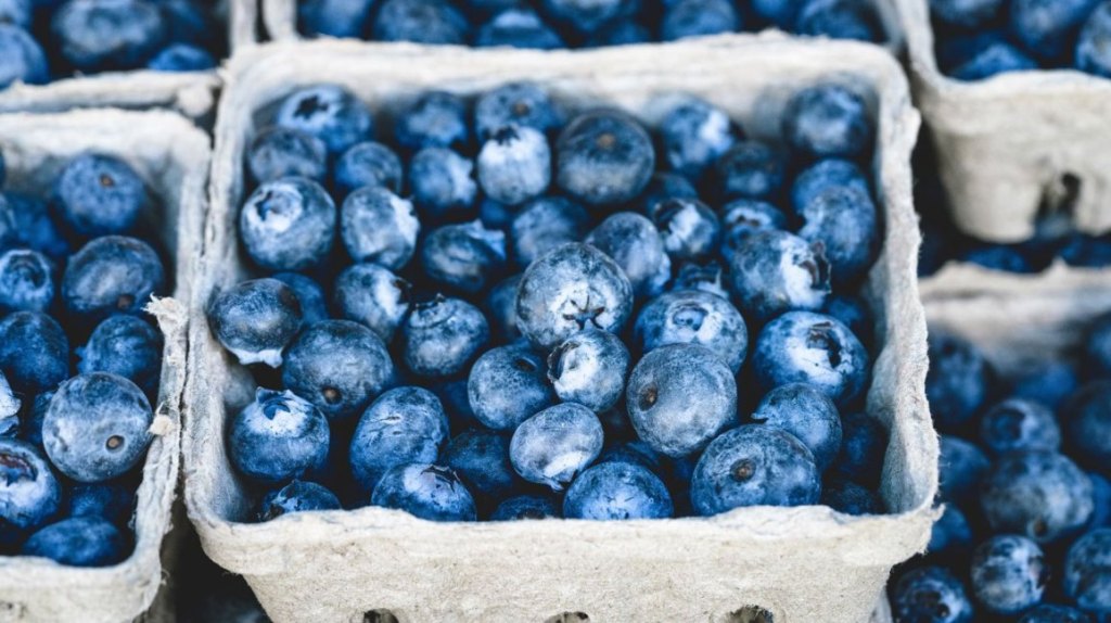 Health Benefits of Blueberries empress2inspire.blog