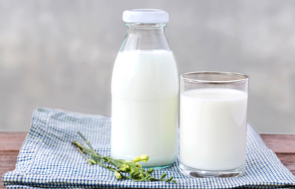 Non Dairy Milk Options empress2inspire.blog