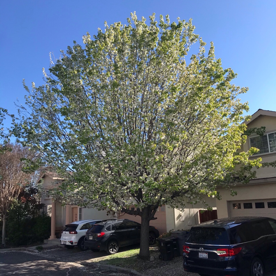 Daily Dose of&nbsp;Living