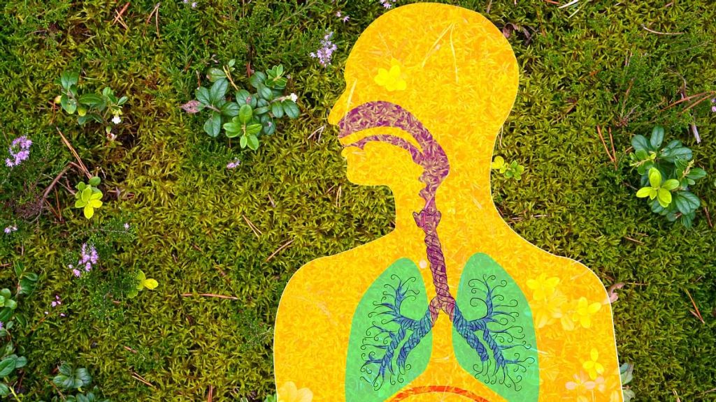 Daily Dose of&nbsp;Nature