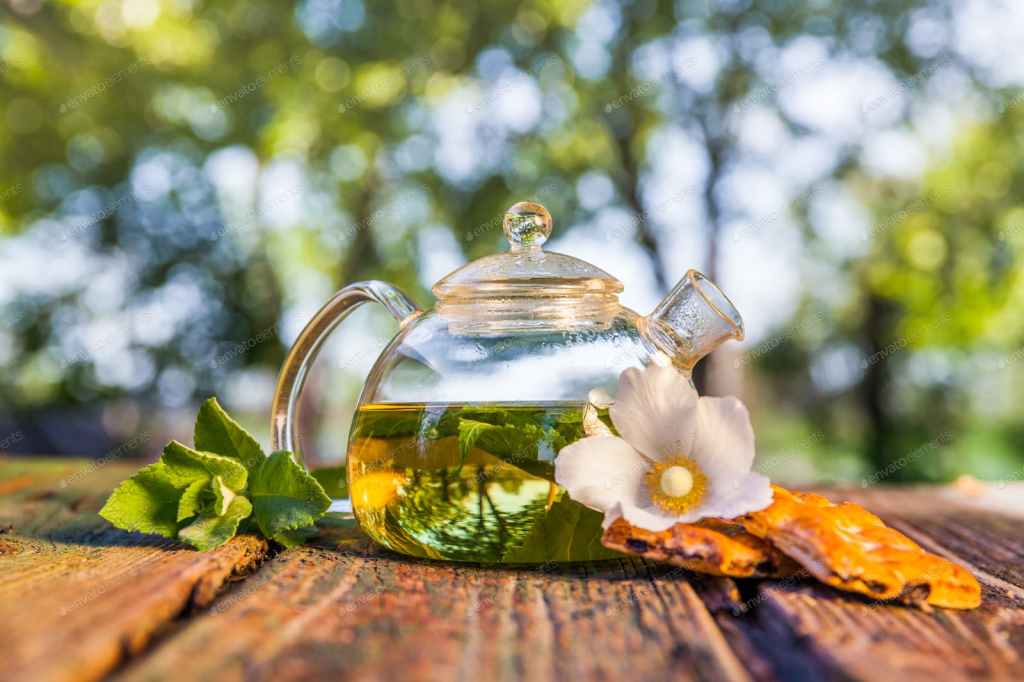 Daily Dose of&nbsp;Nature