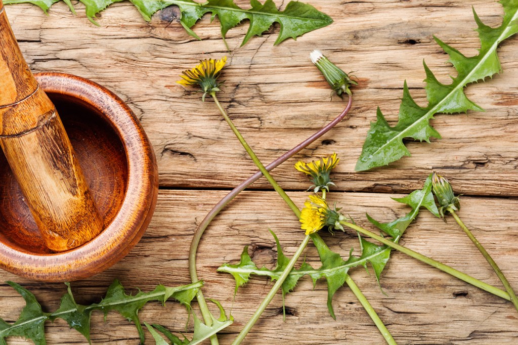 Daily Dose of&nbsp;Nature