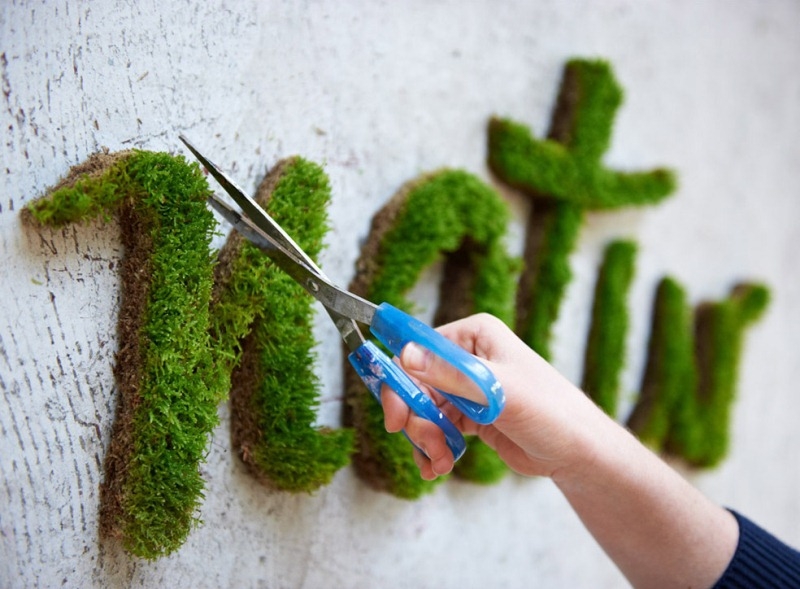 How to Make Moss&nbsp;Graffiti