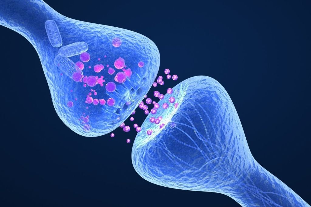 How Brain Affects Blood Sugar Levels Part&nbsp;3