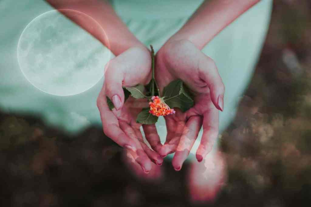 Daily Dose of&nbsp;Affirmation