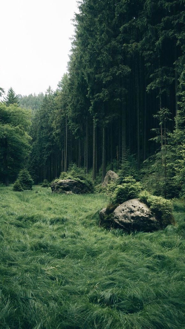 Daily Dose for the&nbsp;Soul