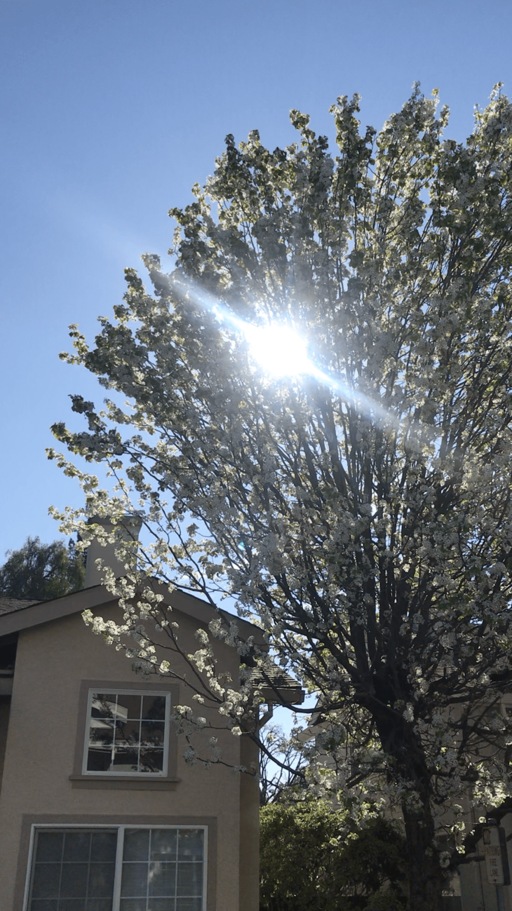 Daily Dose of&nbsp;Affirmation