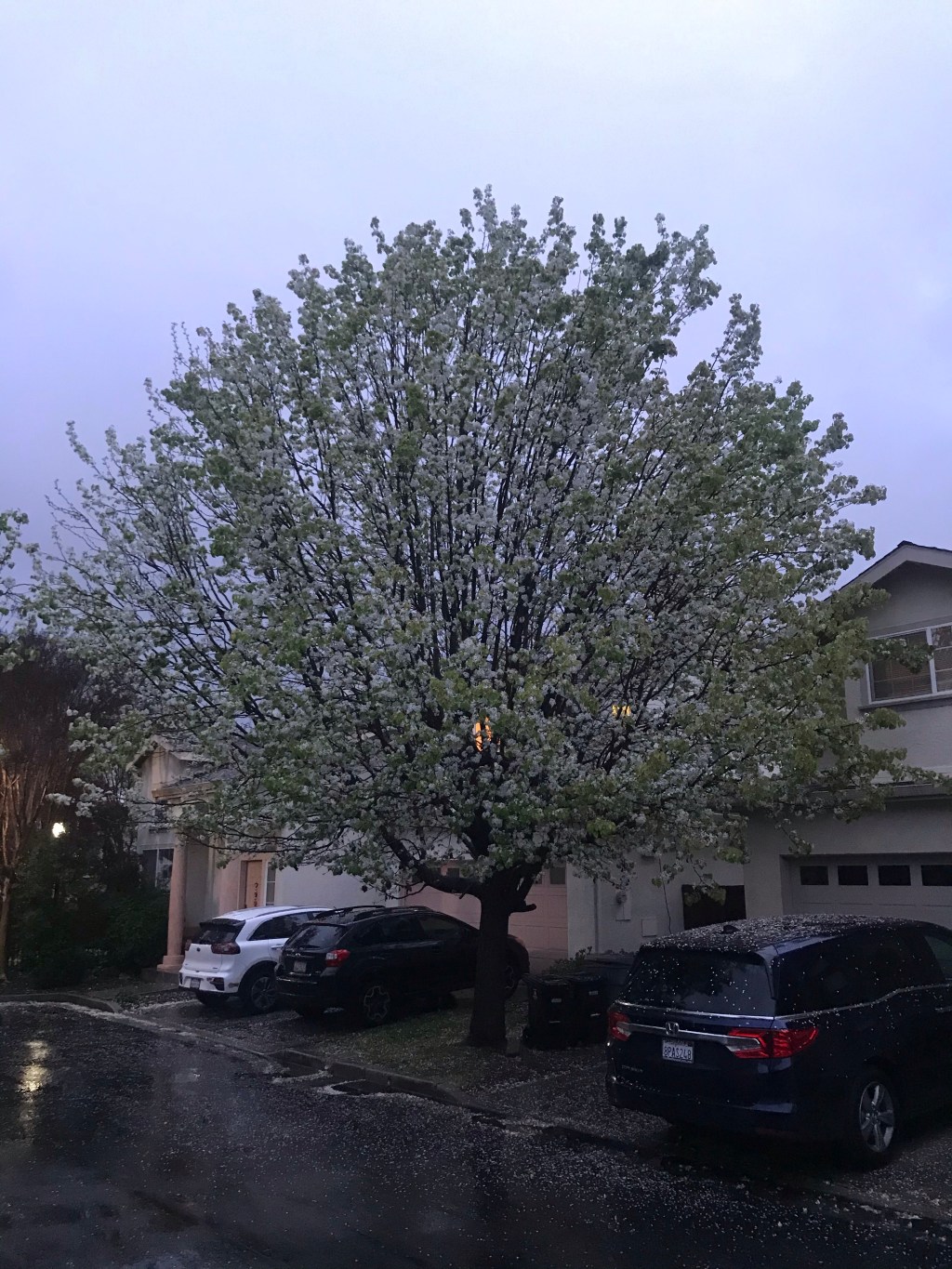 Daily Dose of&nbsp;Affirmation