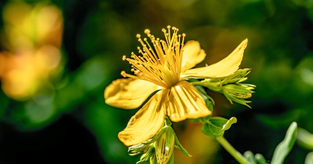 Daily Dose of&nbsp;Nature