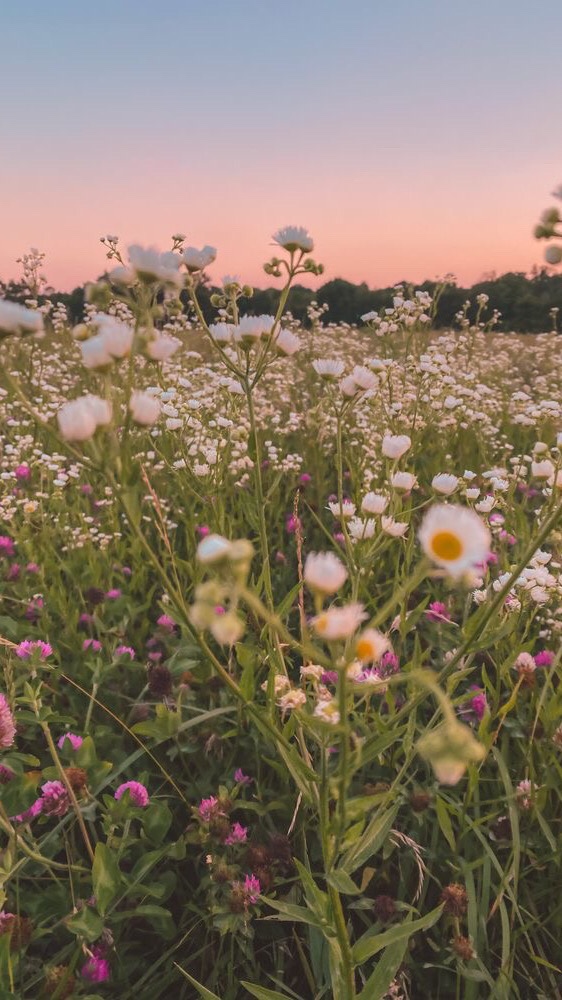 Daily Dose of&nbsp;Affirmation