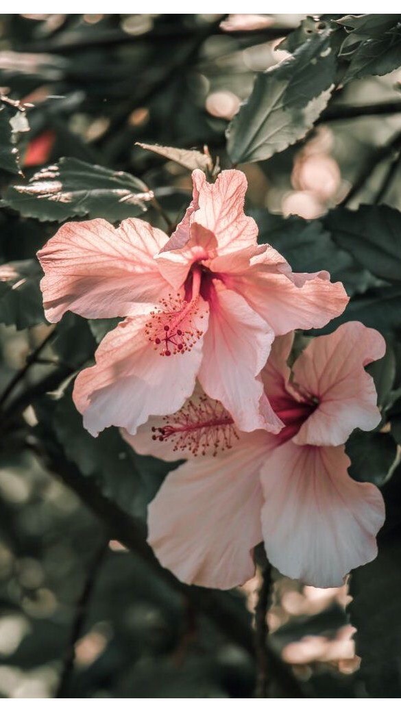 Daily Dose for the&nbsp;Mind