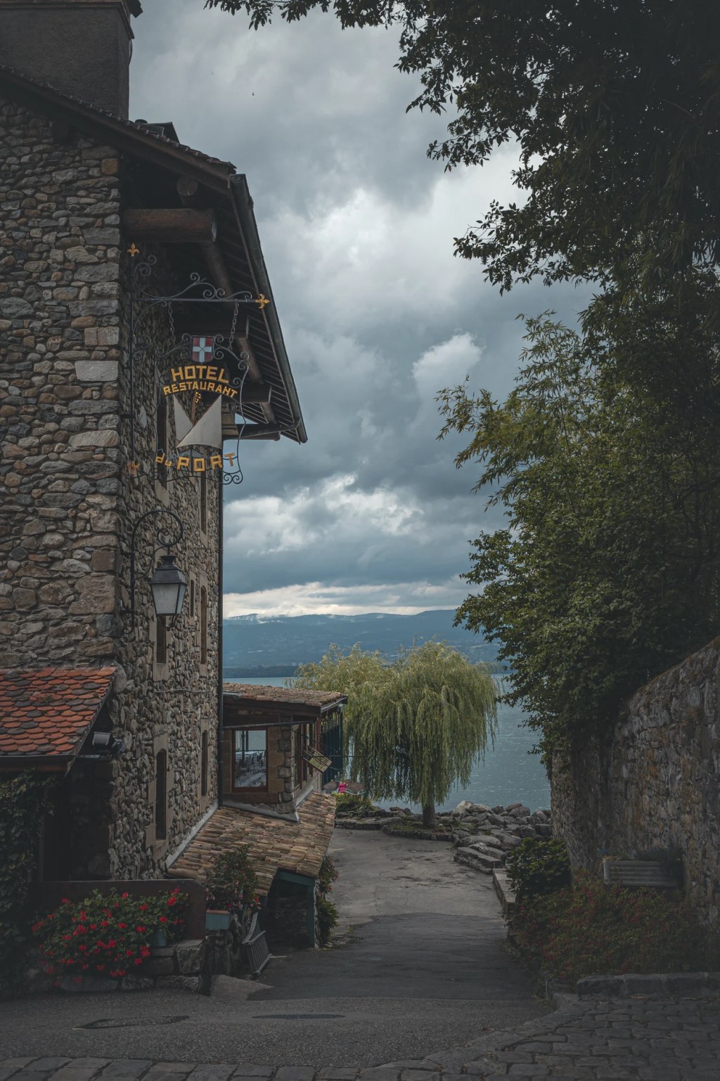 Daily Dose of&nbsp;Affirmation