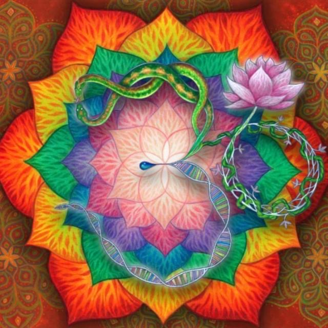 Spiritual Musings WhatsApp&nbsp;Group