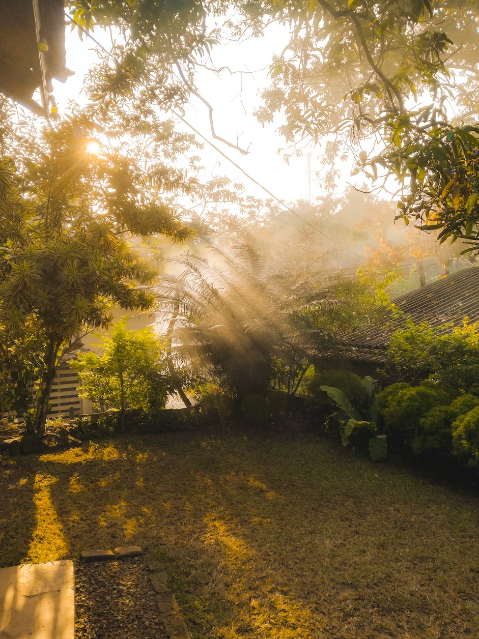 Daily Dose of&nbsp;Affirmation