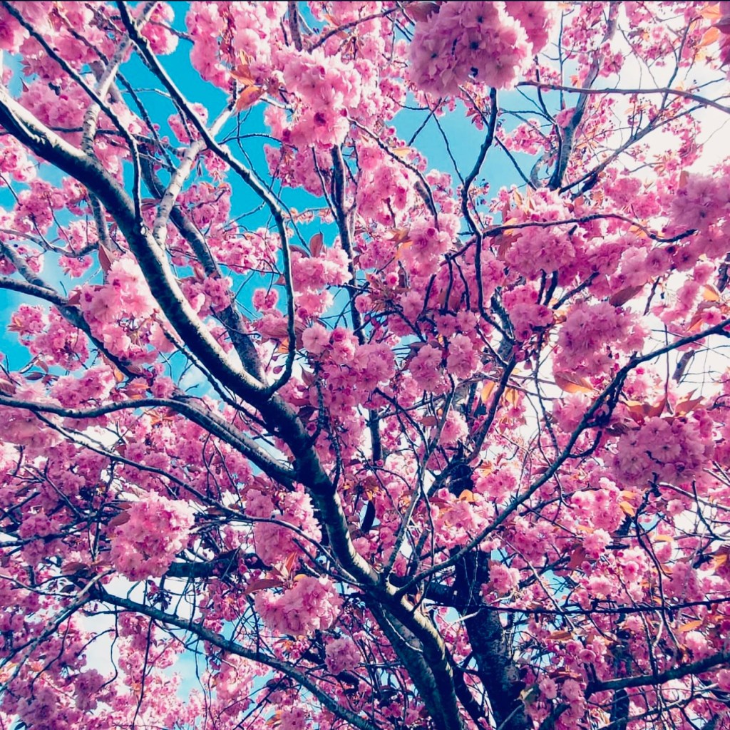 Daily Dose of&nbsp;Affirmation