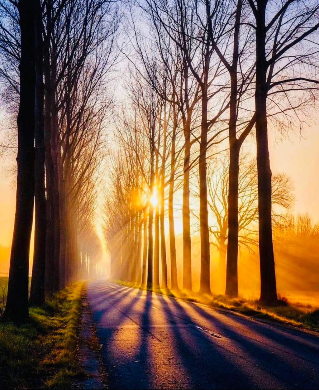 Daily Dose of&nbsp;Affirmation