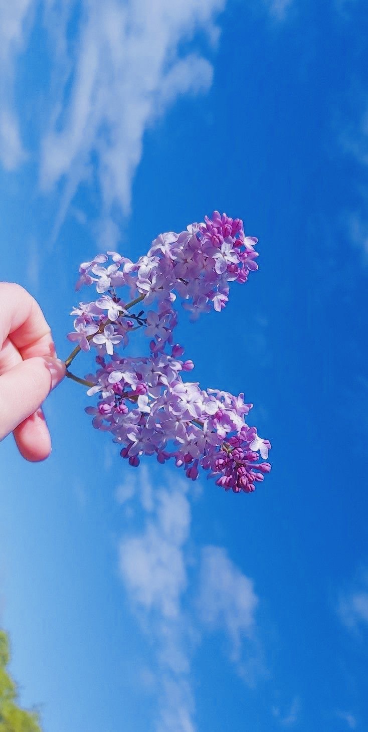 Another Manifestation How To&nbsp;Guide