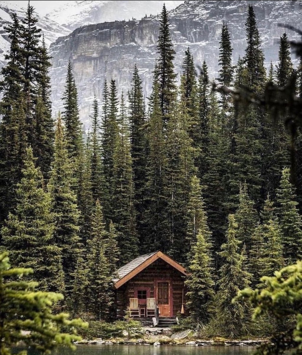 Your Brain Wants To Be&nbsp;Safe