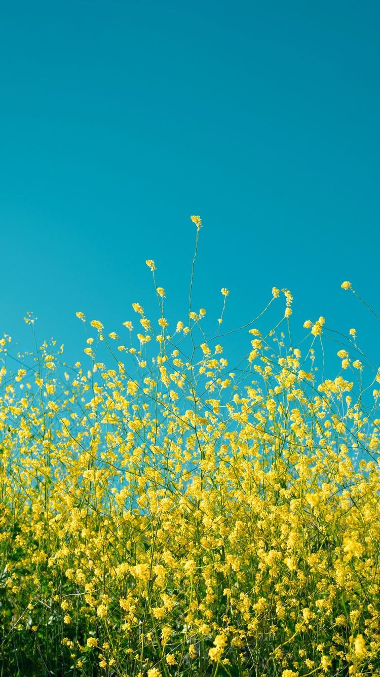 Daily Dose of&nbsp;Affirmation