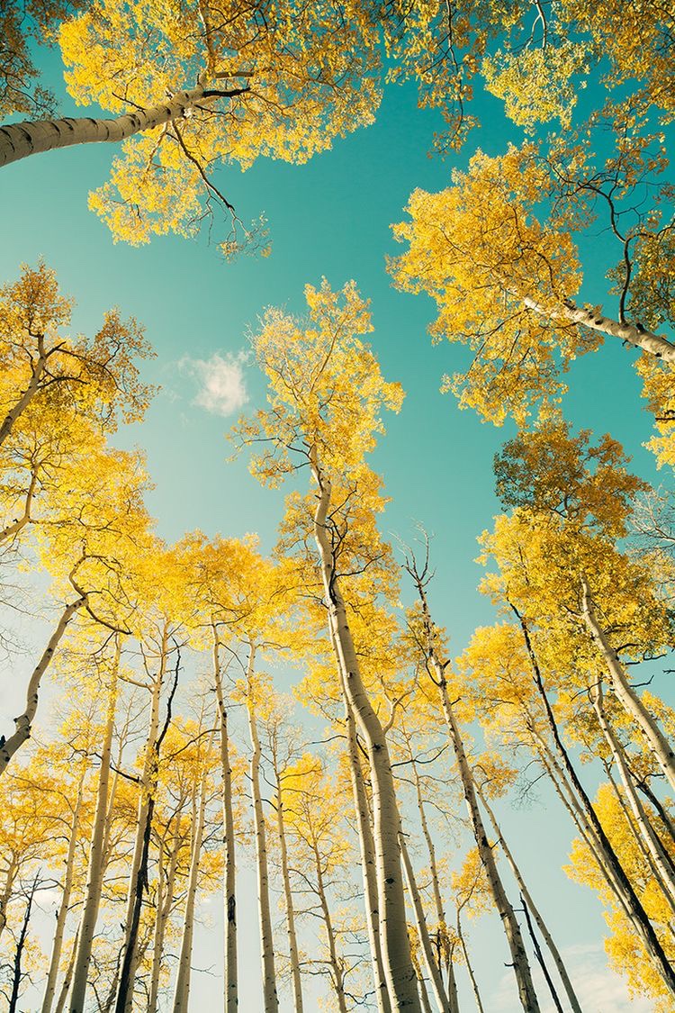 Daily Dose of&nbsp;Affirmation