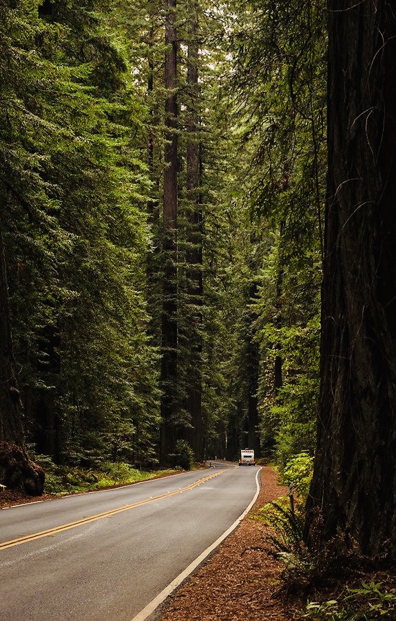 Rooted In Our&nbsp;Soul