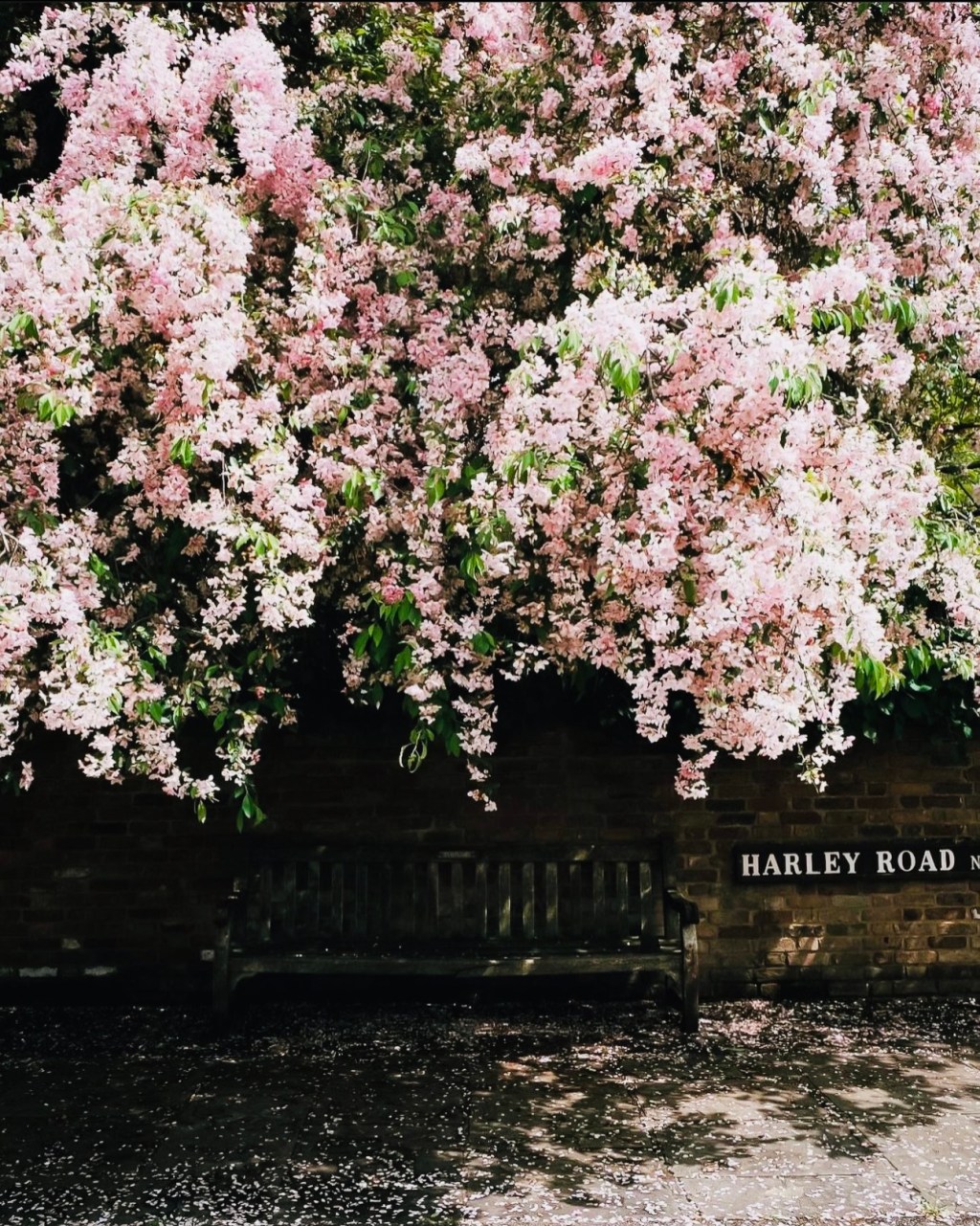 Daily Dose of&nbsp;Affirmation