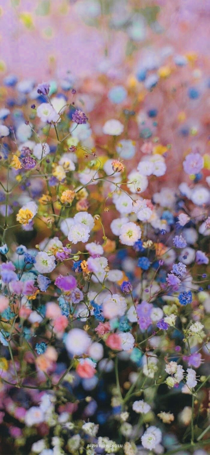 Daily Dose of&nbsp;Affirmation