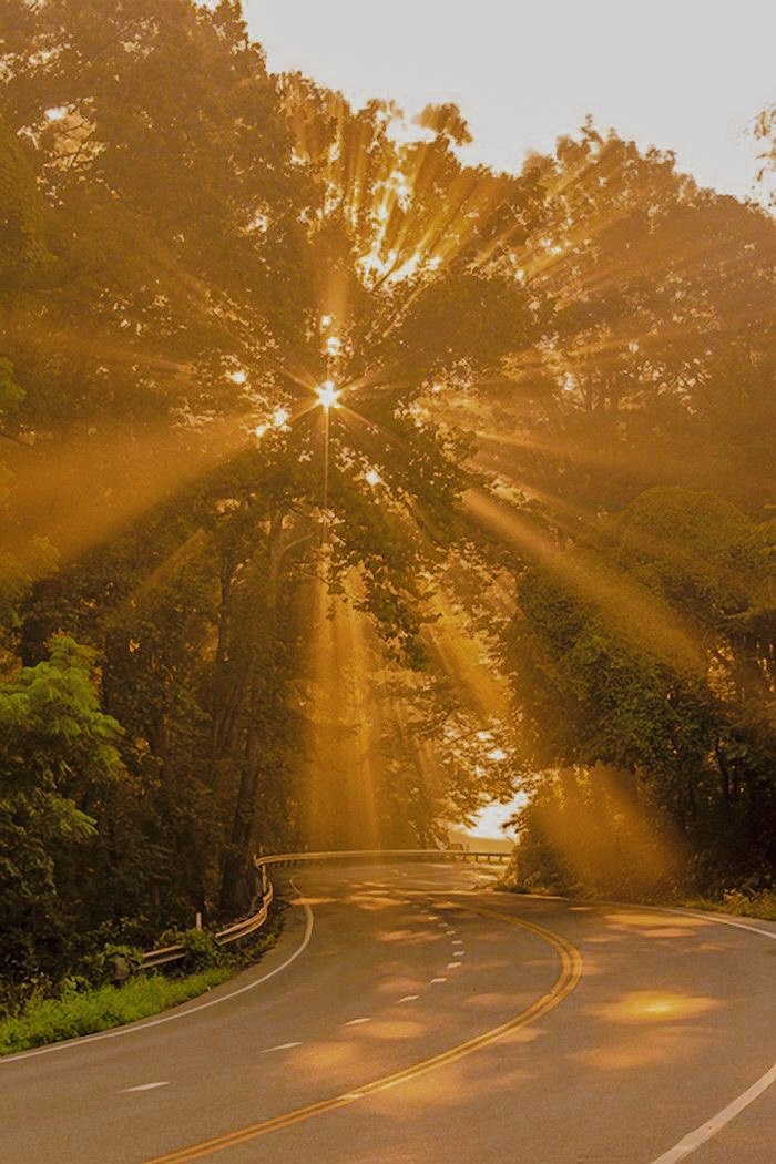 Daily Dose of&nbsp;Affirmation