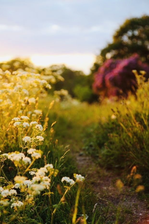 You Are On The Right&nbsp;Path