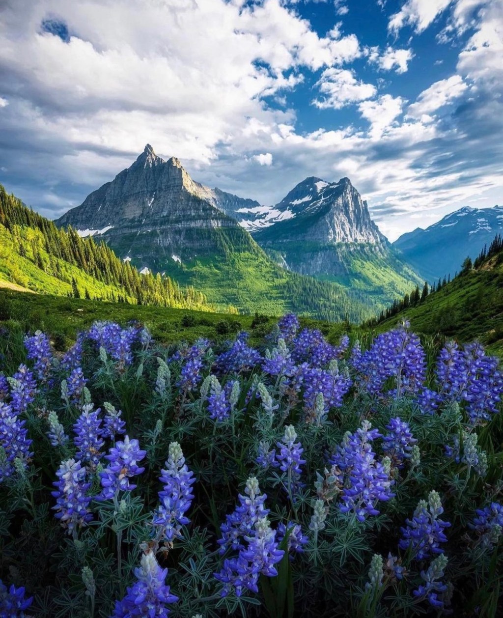 Daily Dose of&nbsp;Affirmation