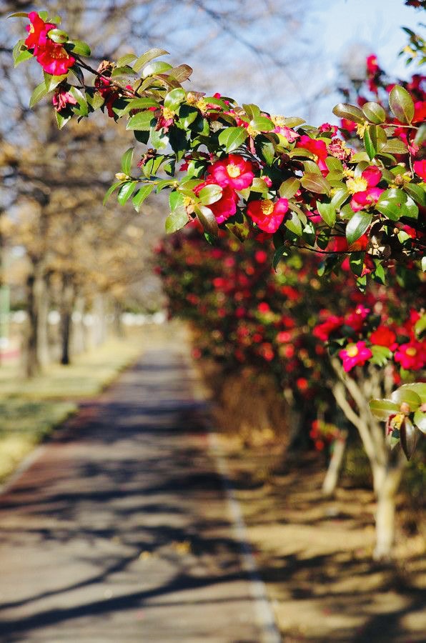 Daily Dose of&nbsp;Affirmation