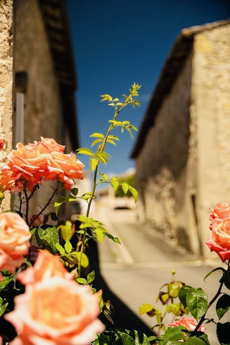 Daily Dose of&nbsp;Affirmation