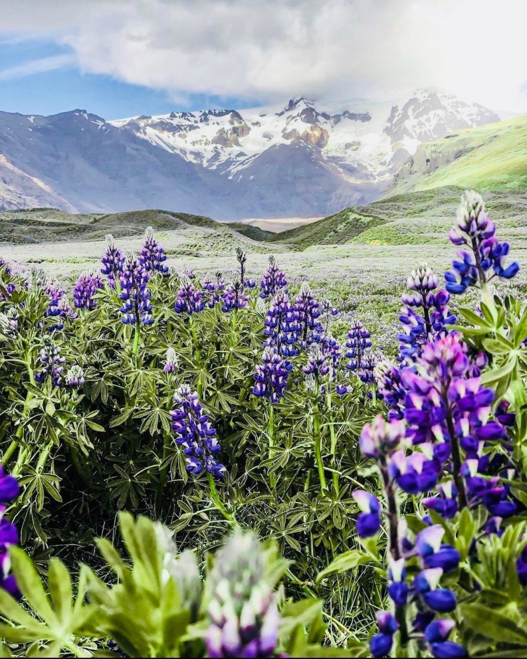 Daily Dose of&nbsp;Affirmation