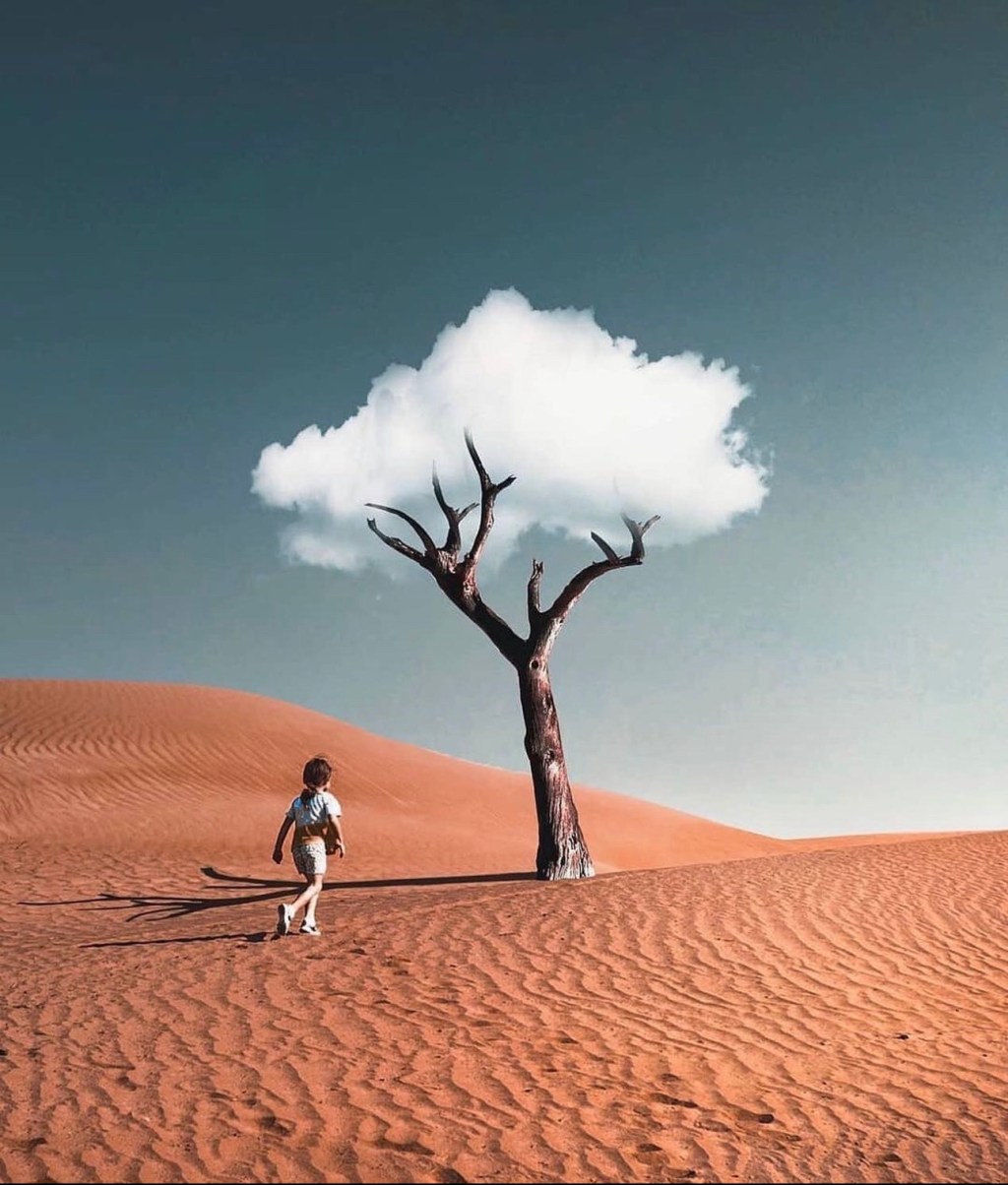 How to Harness the Universe’s Rapid&nbsp;Response