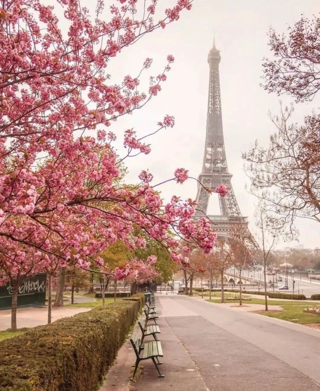 Daily Dose of&nbsp;Affirmation