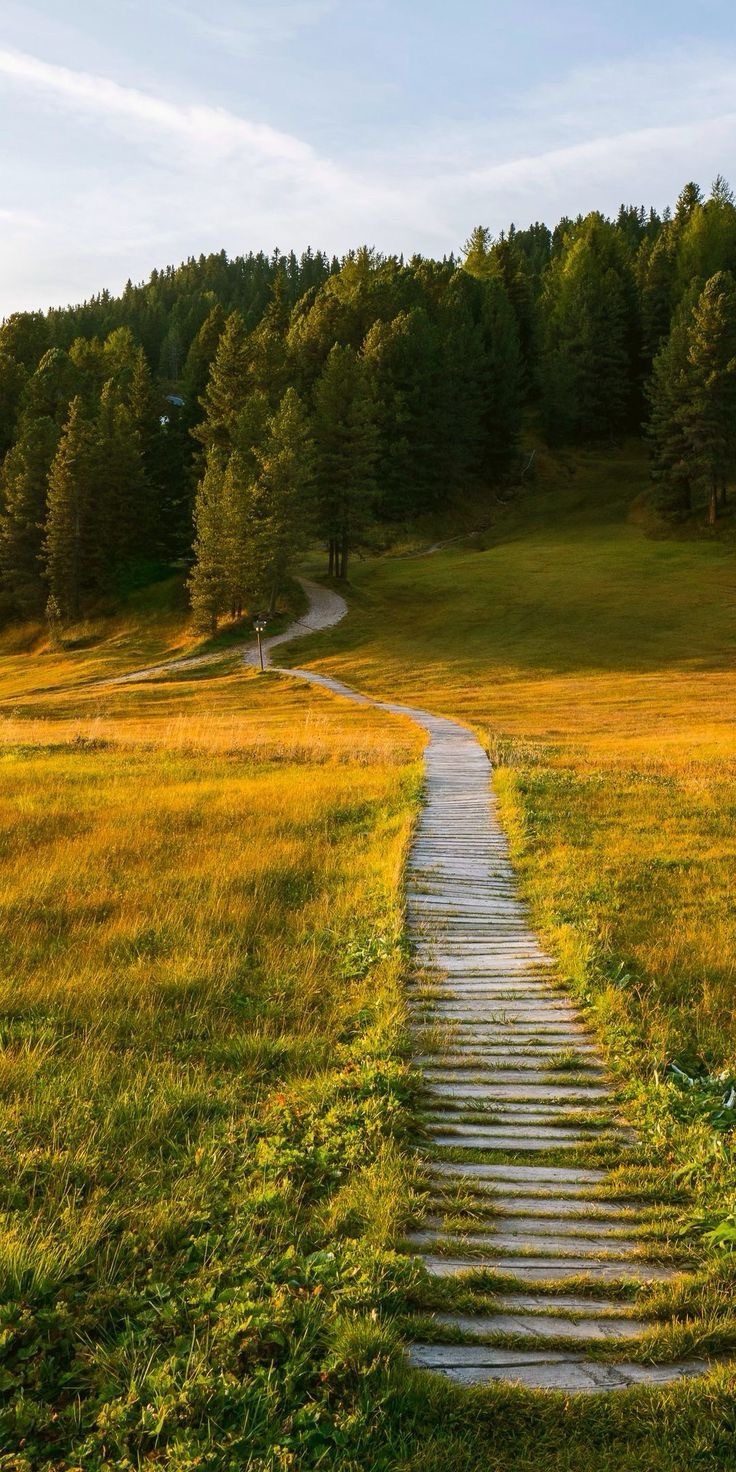 Daily Dose of&nbsp;Affirmation