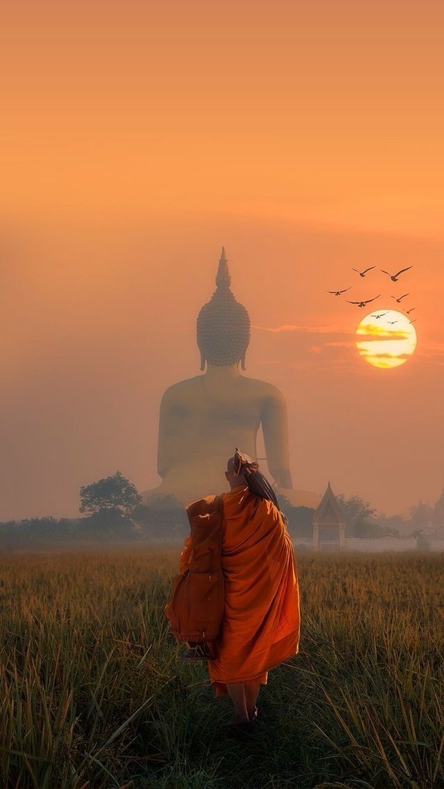 The Rollercoaster Ride of Spiritual&nbsp;Awakening