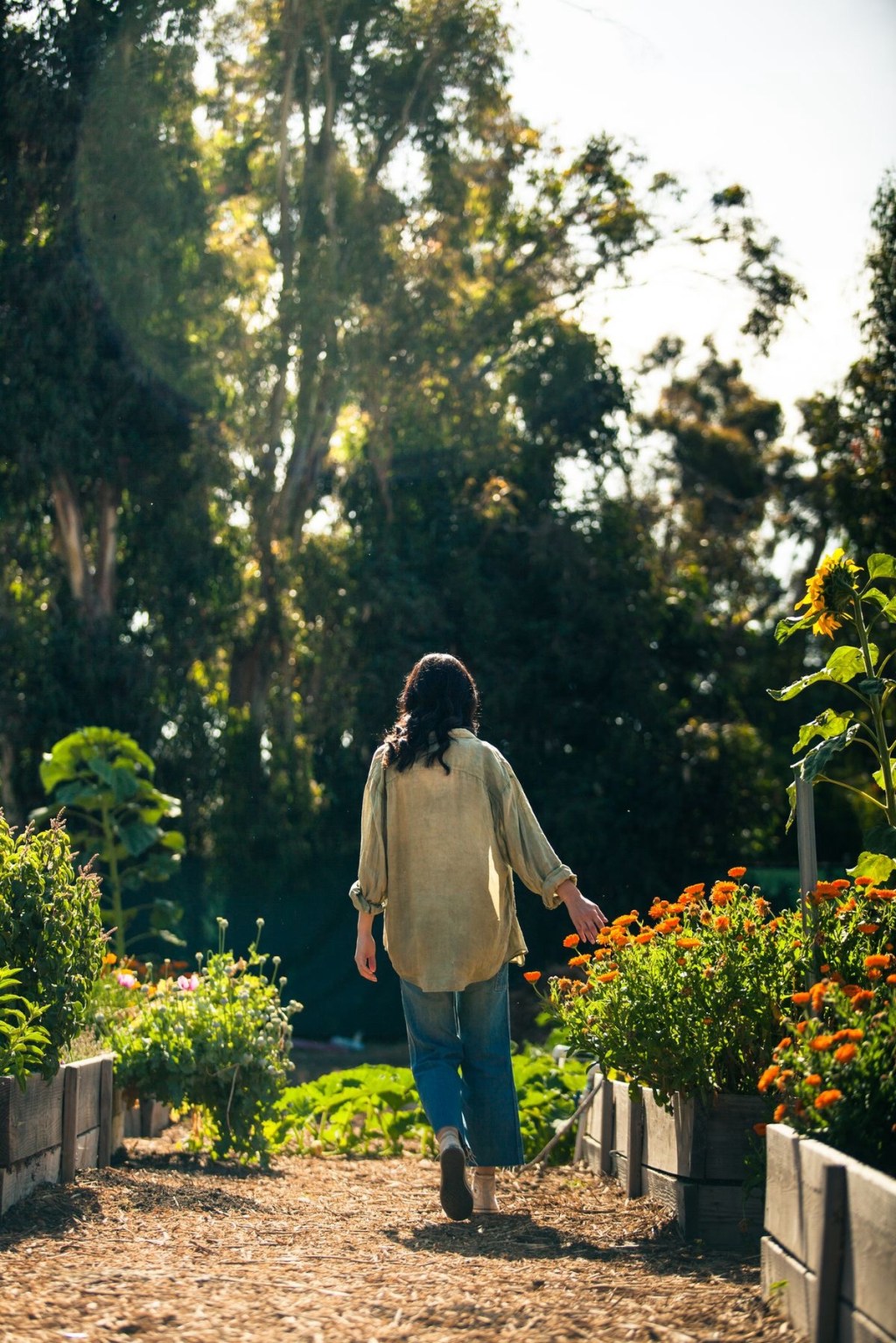 Unveiling the Power of the 20-Word Manifestation&nbsp;Method